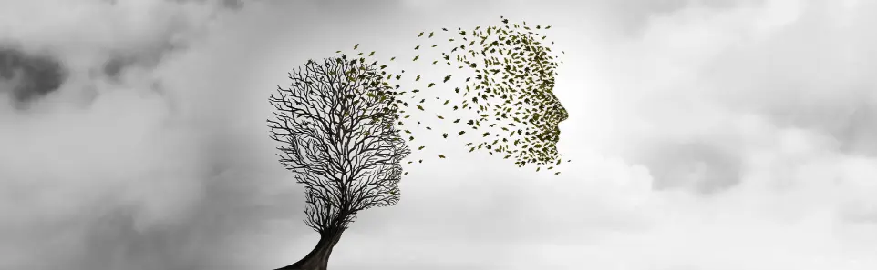 Life Transition Guidance Services Life Transition Guidance Services